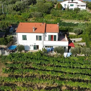  Nocleg ze śniadaniem In Vino Veritas